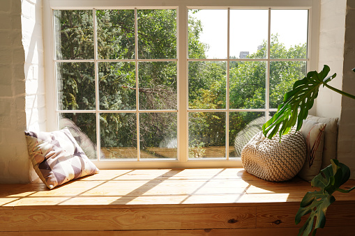 Sunlit window seat with plants looking out onto green trees