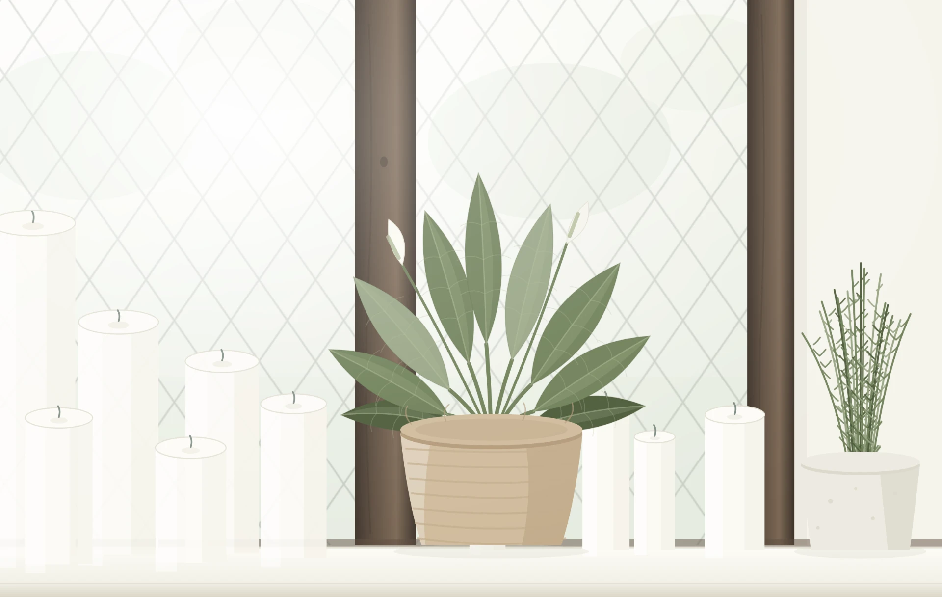 Plants and candles on a sunlit windowsill